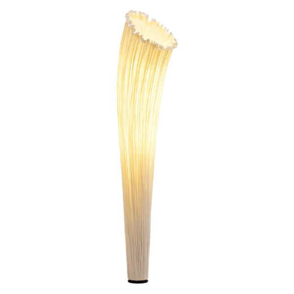 Horn